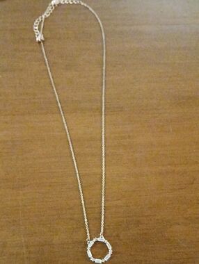 Delicate Gold Toned Circle Pendant Necklace - Women Jewelry